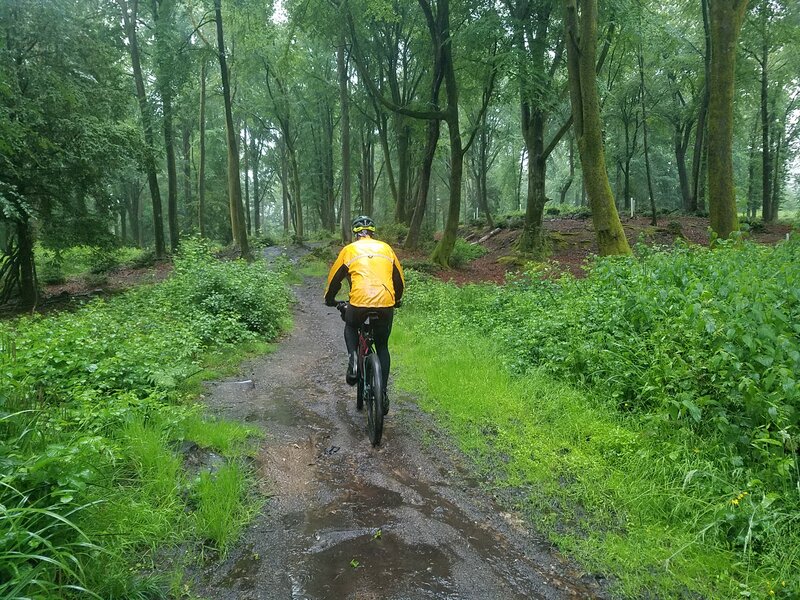 Nick riding away from our view through wet woodland